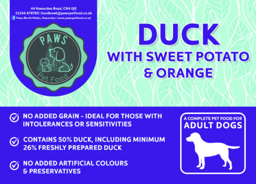 Grain Free Duck with Sweet Potato and Orange for Adult Dogs