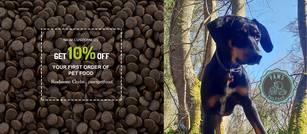 best dog food for canine nutrition