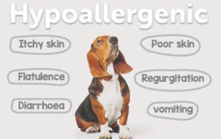 All you need to know about your Hypoallergenic recipes