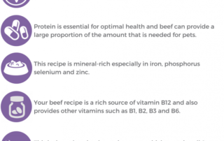 Previously there has been speculation surrounding Beef and pets who have allergies specifically to Beef. However, just like many humans have allergies to milk or peanuts, we are all individuals as are our pets.