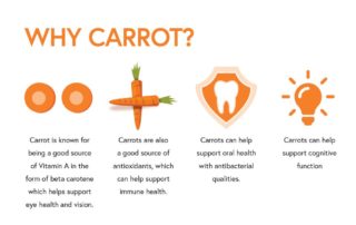 Carrot is known for being a good source of Vitamin A in the form of beta carotene which helps support eye health and vision within pets.