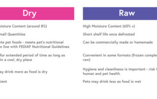 We often get asked what the difference is between Kibble and Raw Feeding. This post provides you with the key information showing the differences and benefits of feeding kibble to your doggies.