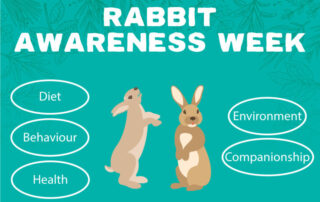 It’s Rabbit Awareness Week at Paws Pet Food!