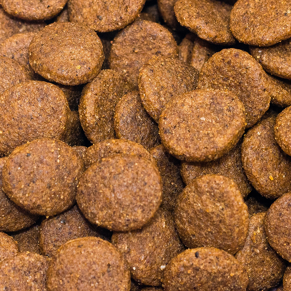 Grain Free Duck, Sweet Potato & Orange Adult Dog Food Kibble Biscuits 2kg 6kg 12kg
