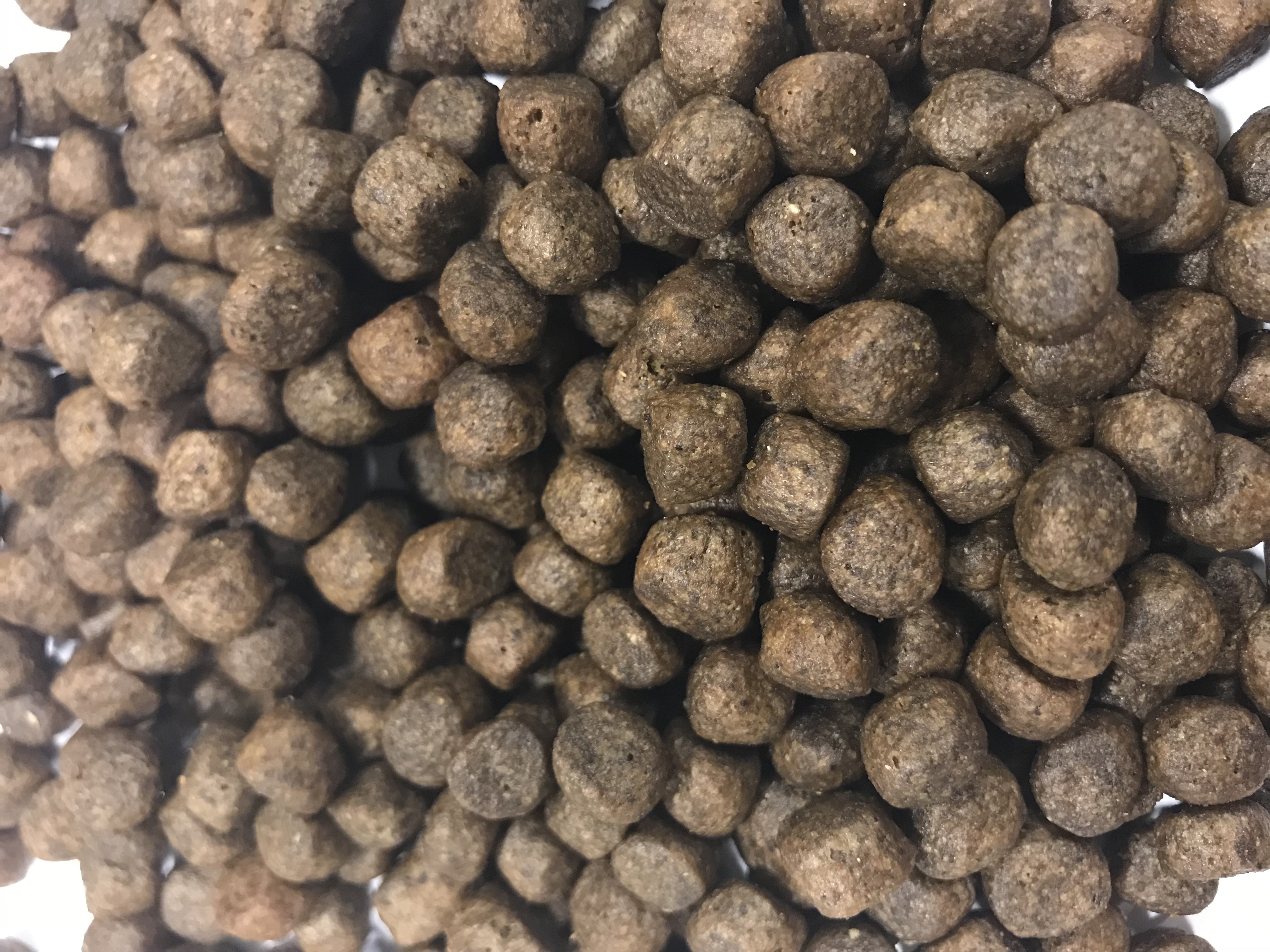 Grain Free Puppy Food 60% Salmon, Haddock & Blue Whiting, with Sweet Potato & Asparagus Kibble Biscuits 2kg 6kg 12kg 15kg Bags