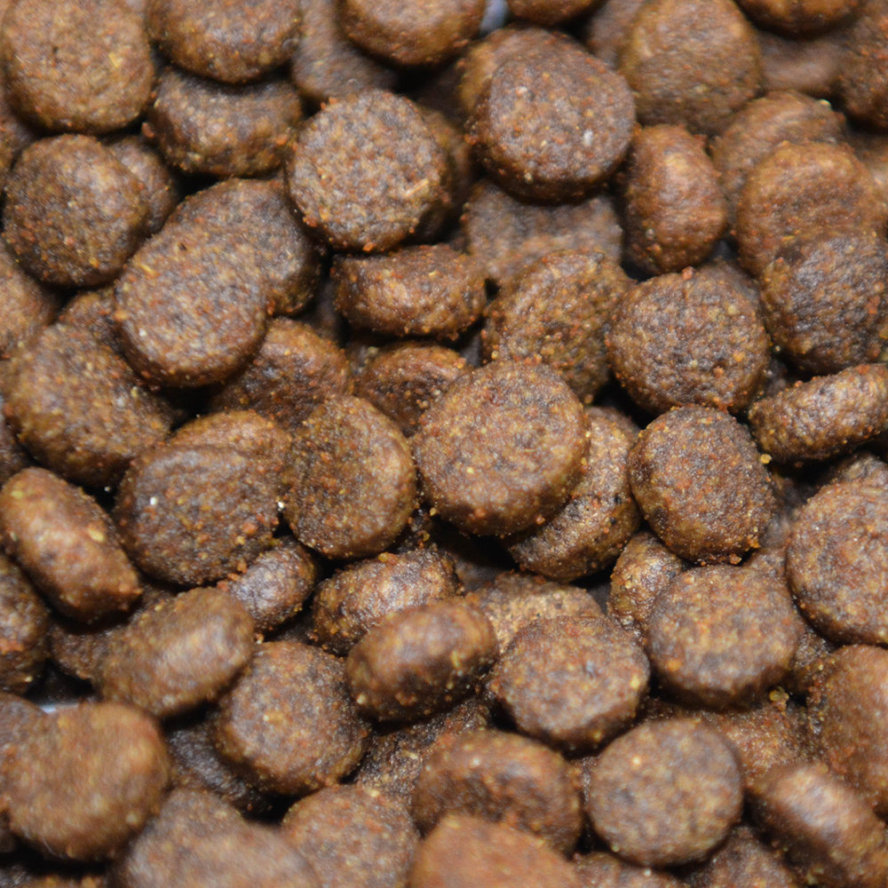Grain Free Small Breed Salmon with Trout, Sweet Potato & Asparagus Dog Food Kibble Biscuits 2kg 6kg