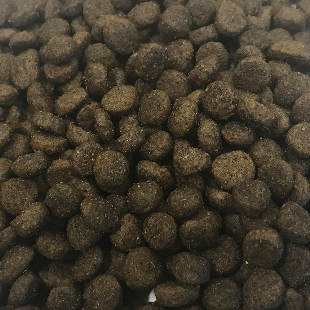 Grain Free Small Breed Lamb, Sweet Potato & Mint Dog Food Kibble Biscuits 2kg 6kg