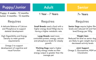 Dogs come in various different shapes and sizes as well as lifestages, each have different nutritional needs in order for them to be healthy.