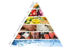 The triangle kibble was chosen to represent the nutrient pyramid, which are the foundations for a complete and balanced diet.