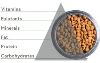 How to choose good dog food