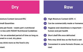 Raw Pet food vs Dried Kibble