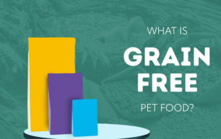 What is Grain Free pet food?