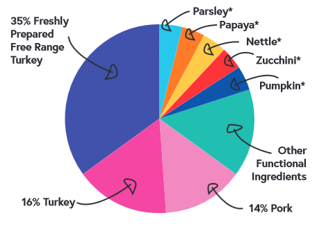Free Range Turkey with Parsley Papaya Nettle Zucchini and Pumpkin composition