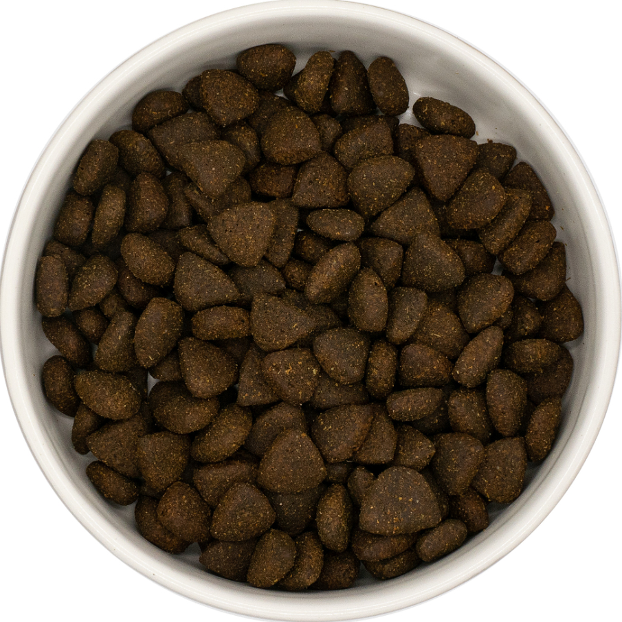 Paws Pet Food Superfood 65 Light Dog Food - Scottish Salmon & Superfood Blend - Image 2