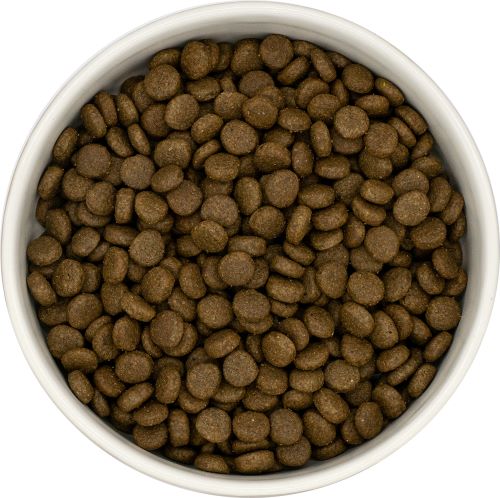 Paws Pet Food Grain Free Connoisseur Cat Food - 70% White Fish & Herring Caviar for Optimal Health - Image 2