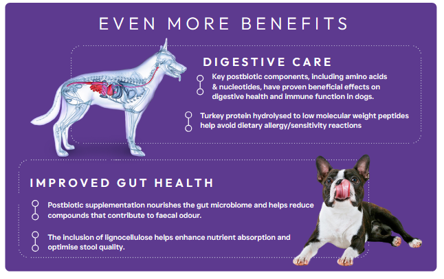 Peptide+ Adult Dog Food Gastrointestinal Digestive Care with Turkey - Image 5