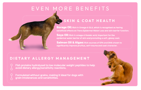 Peptide+ Adult Dog Food Skin and Coat Care with Salmon - Image 5