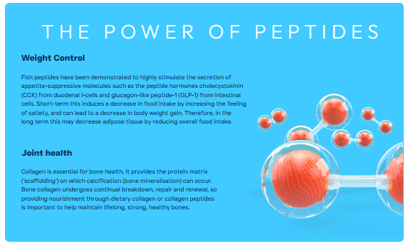 Peptide+ Adult Dog Weight Control & Joint Care with White Fish - Image 6