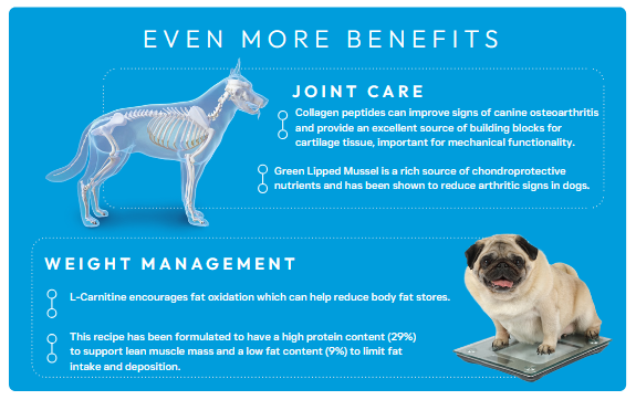 Peptide+ Adult Dog Weight Control & Joint Care with White Fish - Image 5