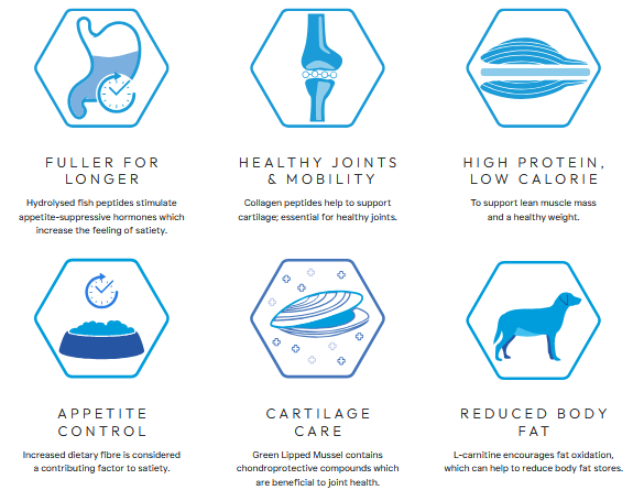 Peptide+ Adult Dog Weight Control & Joint Care with White Fish - Image 4