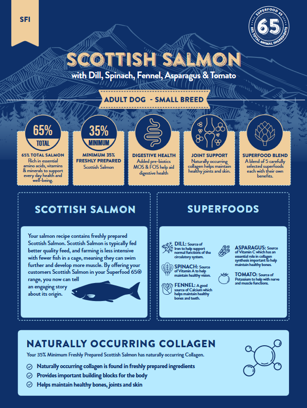 Paws Pet Food Superfood 65 Grain-Free Small Breed Dog Food - Scottish Salmon with Superfoods - Image 3