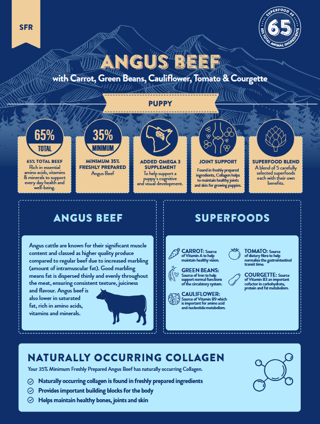Paws Pet Food Grain-Free Grass-Fed Angus Beef Dog Kibble with Superfood Veggies – Perfect for Puppies and Made in the UK – Best Seller - Image 3